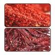 Chillies & Chilly Powders