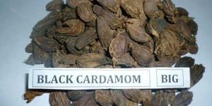 Black Cardamom