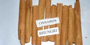 Cinnamon Stick