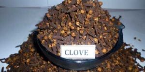 Cloves