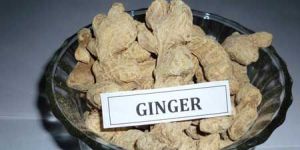 Dry Ginger