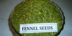 Fennel Seeds