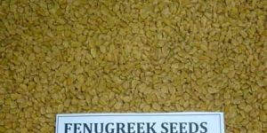 Fenugreek Seeds