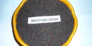 Mustard Seeds