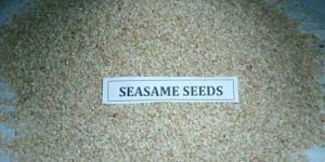 Sesame Seeds