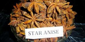 Star Anise
