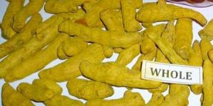Turmeric Finger