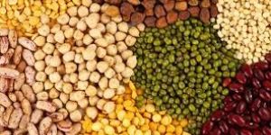 Indian Pulses