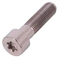 Torx Head Bolt