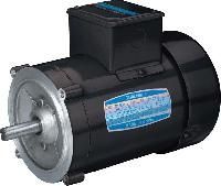Three Phase Electric Motors