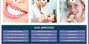 Wordpress Theme Development Services