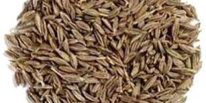 Cumin Seeds
