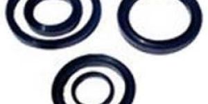 Rubber V Seals