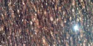 Asian Top Granite Slabs