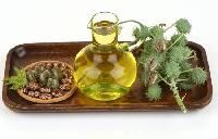 Castor Seed Oil