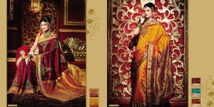 Indian Bridal Wedding Saree