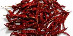 Byadgi Red Chilli