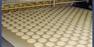 Biscuit Cutting Machine