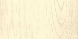 Ivory Glossy Series Tiles