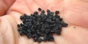 Red onion hybrid seed(CO-ON5)