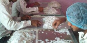 Modified Atmosphere Packaging