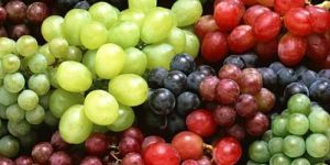Fresh Grapes