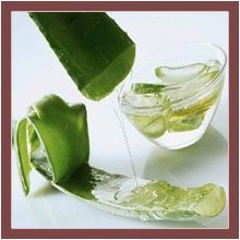 Aloe Vera Oil