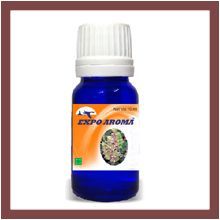 Apricot Carrier Oil