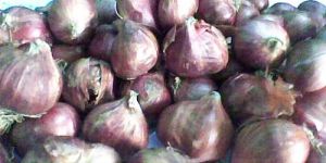 Small Onions