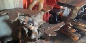 NATURE LINE DISPLAY STAND