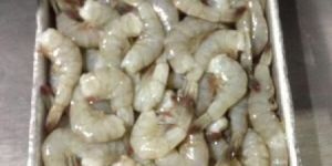Venamei Prawns