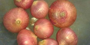 Red Onion