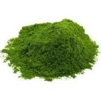 Palak Powder