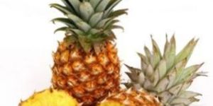Pineapple Pulp