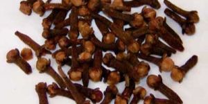 Cloves