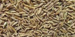 Cumin Seeds