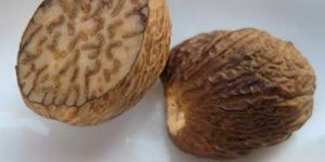 Nutmeg