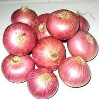 Onion