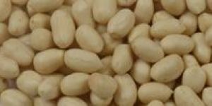 HPS Groundnut Kernels