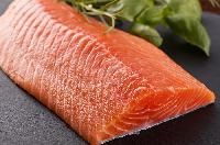 Salmon