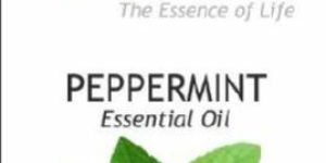 Peppermint Essential Oil