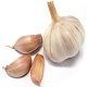 Fresh Garlic