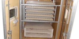 Egg Incubator