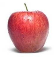 Fresh Apple