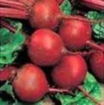Fresh Beetroot
