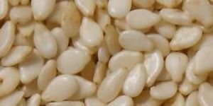 Sesame Seeds