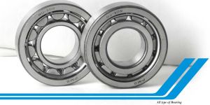 Cylindrical Roller Bearings