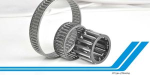 Needle Roller Cage Bearings