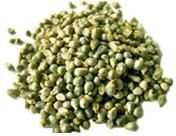 Green Millets