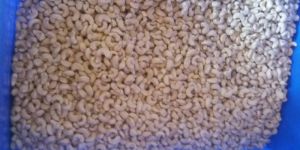 Cashew Kernels